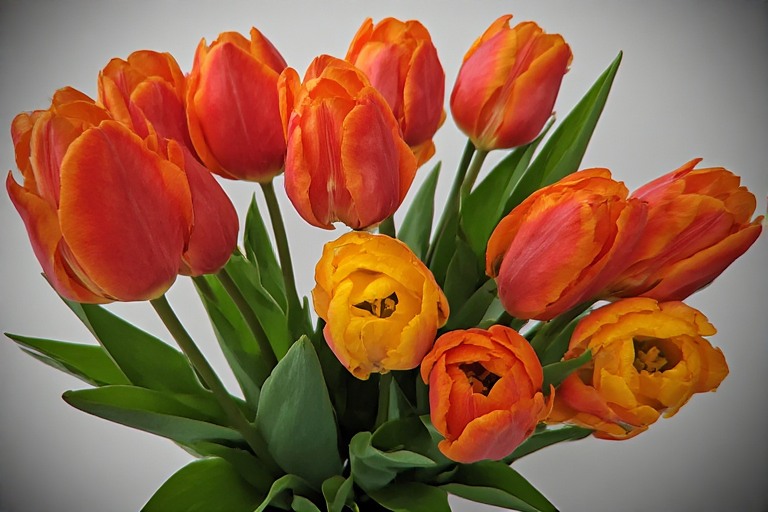 flowers.jpeg