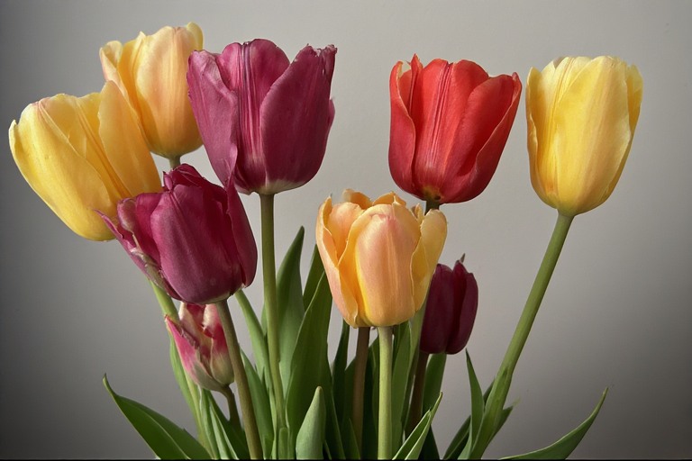 flowers.jpeg