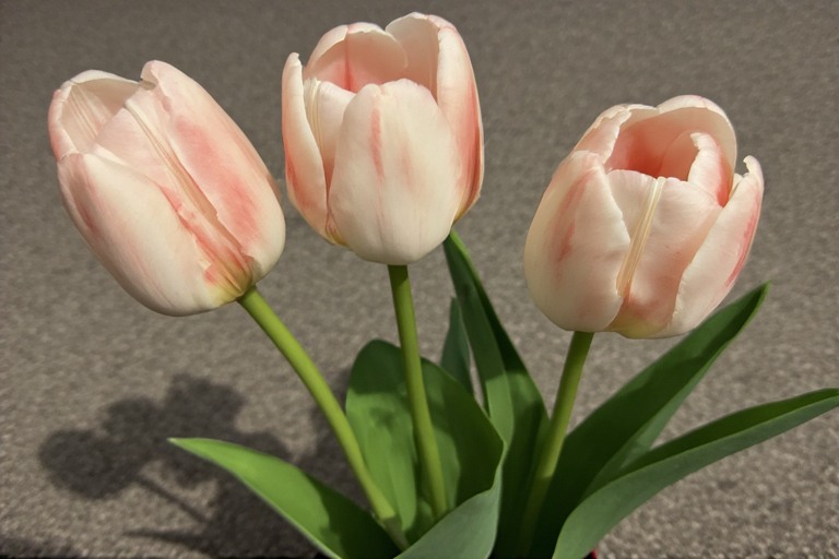 flowers.jpeg