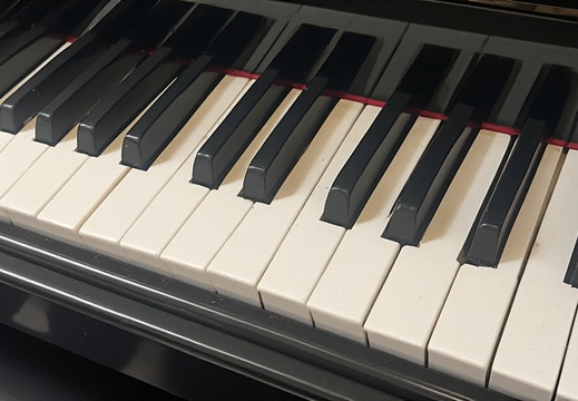 Musical Instruments